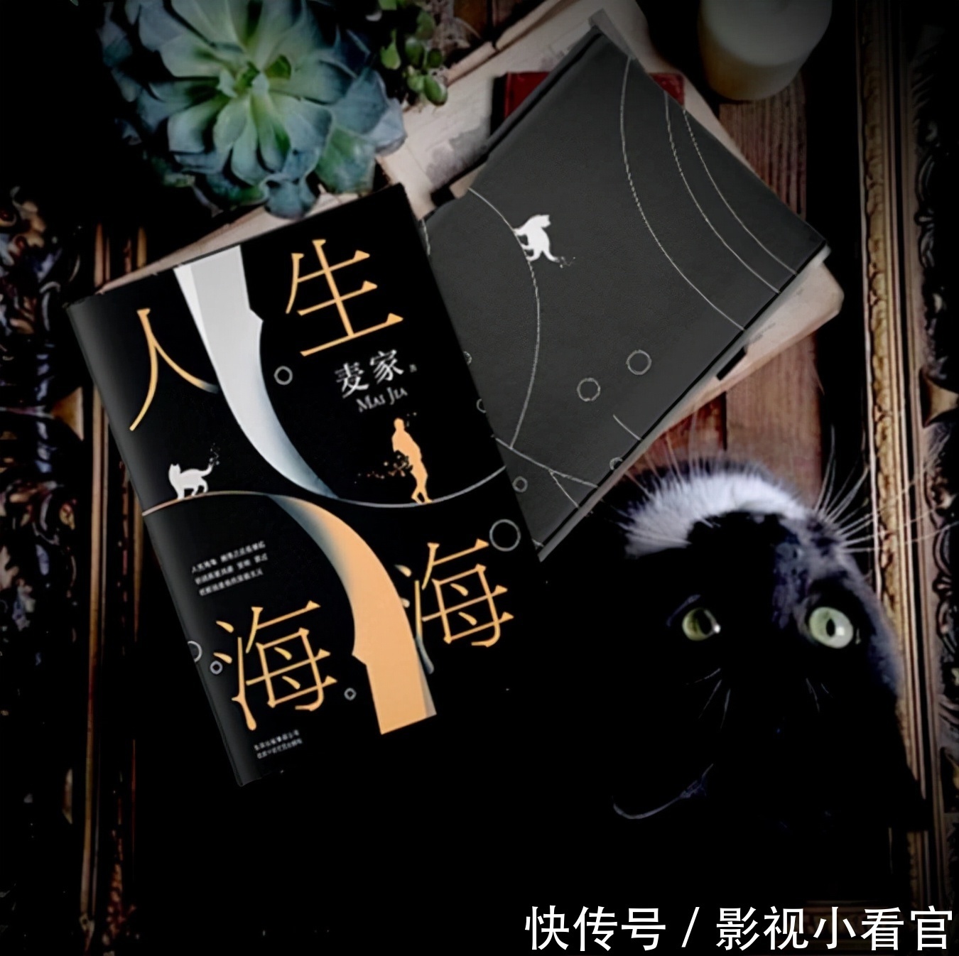 妻子!读《人生海海》,悟出的人生渡劫功法