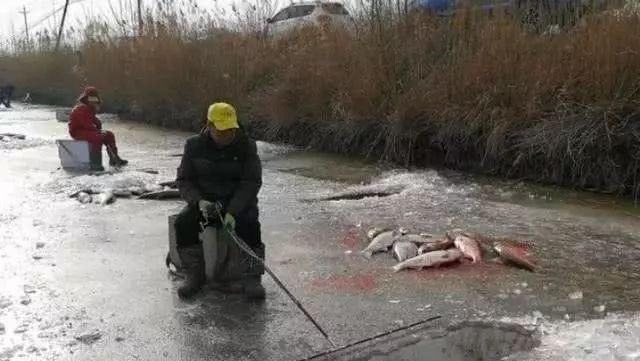 这五种人是“无知”还是“无耻”?钓鱼人看在眼里,急在心里