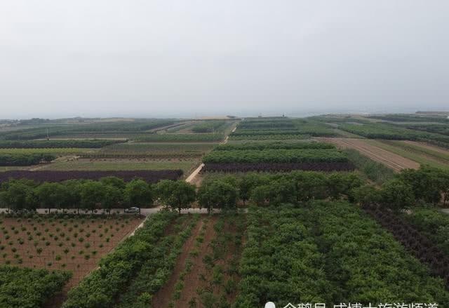 航拍|航拍三原唐敬宗李湛庄陵：所有翁仲都无头，枪毙俩人至今未破案