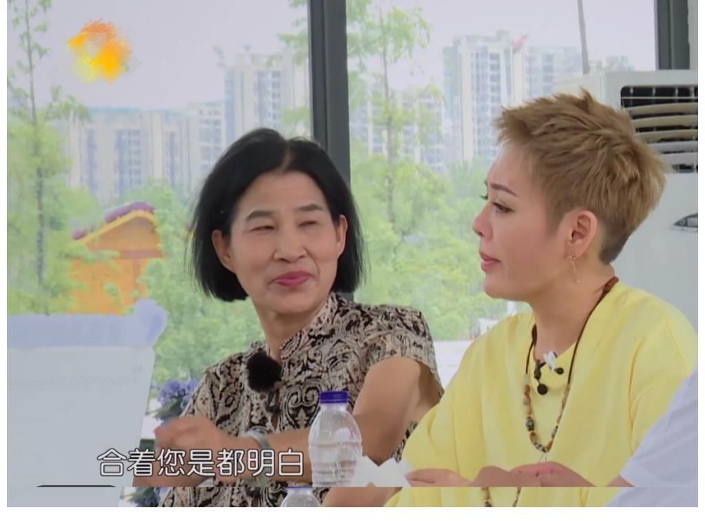 嘉宾|《中餐厅》剧本明显，宁静发火其他嘉宾沉默，黄晓明打圆场