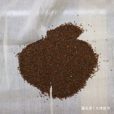 传统红糖冰粉灵魂气泡，是最适合夏天的味道