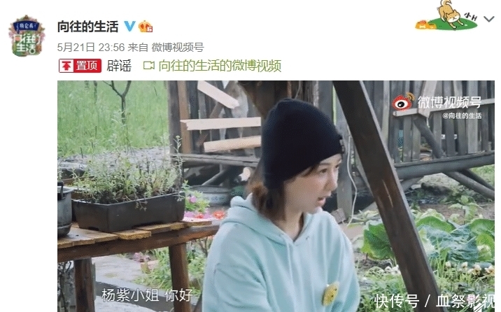 拖拉机 《向往》张艺兴杨紫关系升温变话痨,黄磊何炅暗暗撮合,为收视率故意炒作?