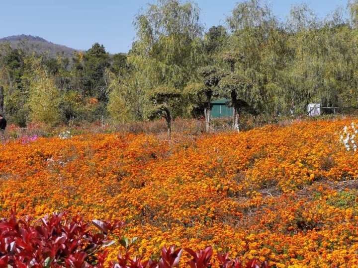 巨变|老乐山下穷山村的沧桑巨变