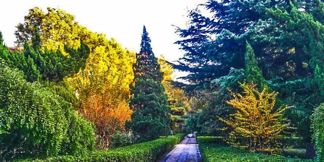 带你走进山东大学，在那里学习是什么样的体验