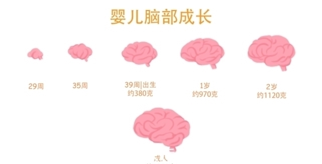 进化|为何动物的生产那么轻松,而人类分娩却疼得撕心裂肺?