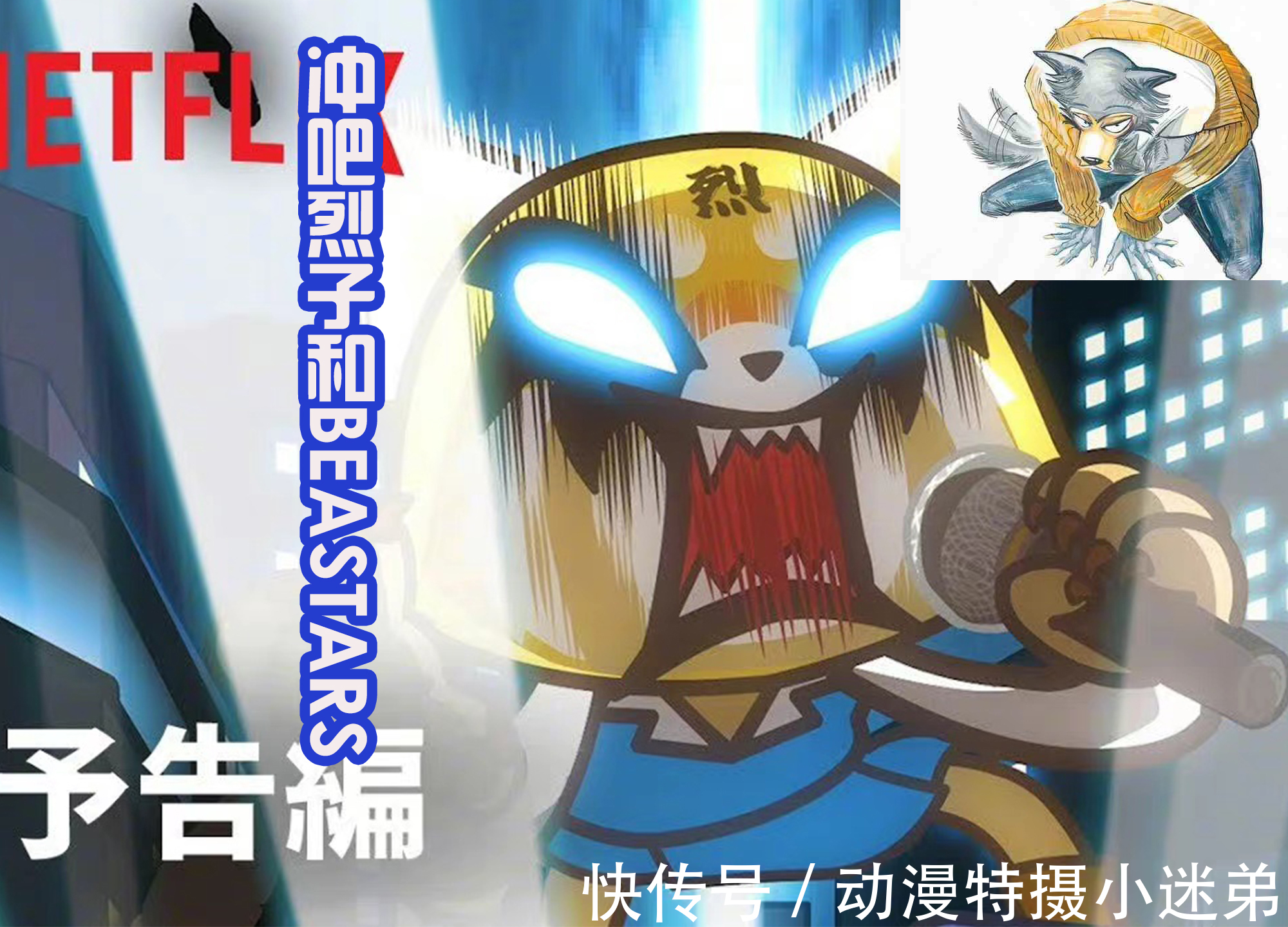 零的日常|网飞公布18部新的动漫,除了机动奥和石之海,还期待哪一部?