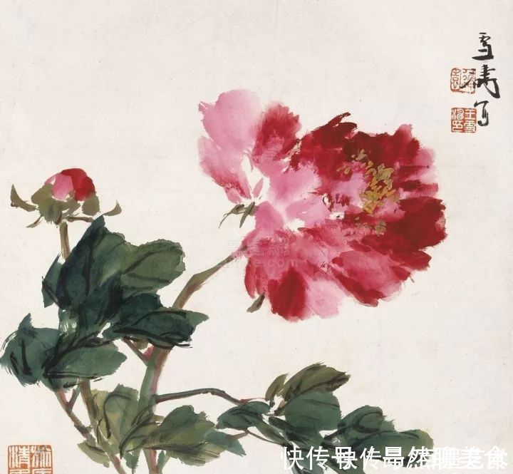 小写意@唯有牡丹真国色!小写意牡丹画150幅,美醉了