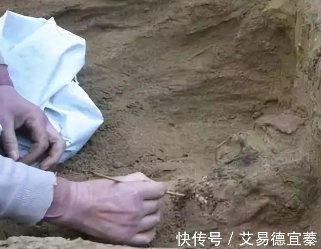 小骆驼|古人反盗墓的三大“毒招”,现代盗墓贼都被毒死在墓中!