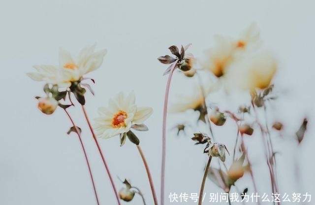 林清玄|林清玄:致富之道无他,惜缘、布施而已