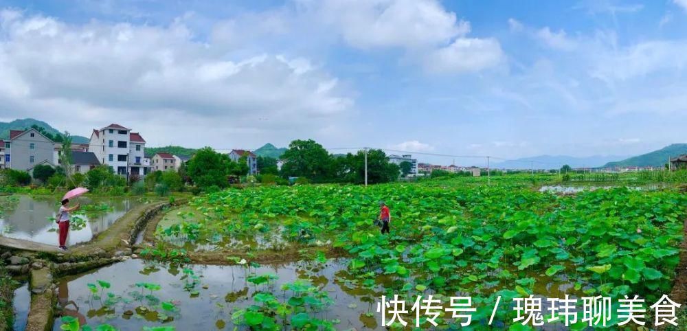 城市|全球最佳旅行地出炉！它是中国唯一上榜的城市，比苏杭还安逸，美到窒息！