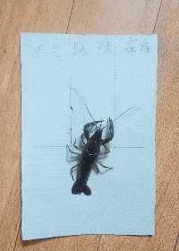 |搞笑GIF：怎么把我拍的这么好看！