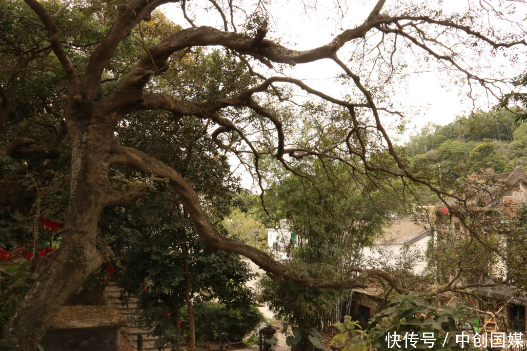 金龟慢:往事经年,历史有声。|这儿有个金龟小镇 | 往事