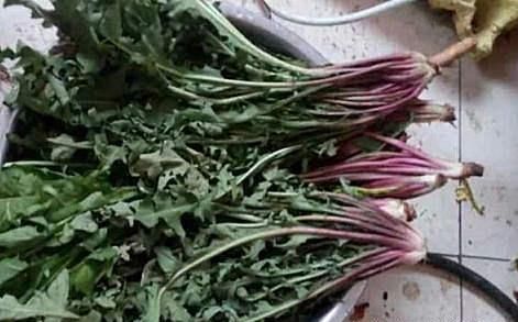 女性養(yǎng)生多吃幾種食物，營養(yǎng)豐富，去除皺紋，身體棒棒噠