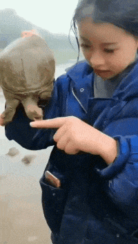 段子|搞笑GIF段子:妹子,我还真是服你了!网友们给想个办法吧