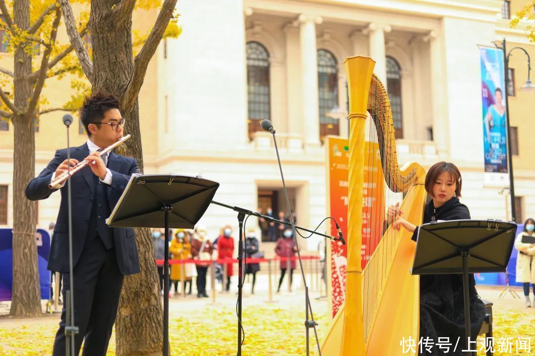  银杏|超唯美！一起在冬日听一场“银杏音乐会”