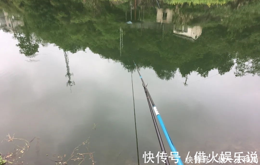 水草|光水钓鲫鱼那点事儿，用长竿太累，但能比别人钓得更多