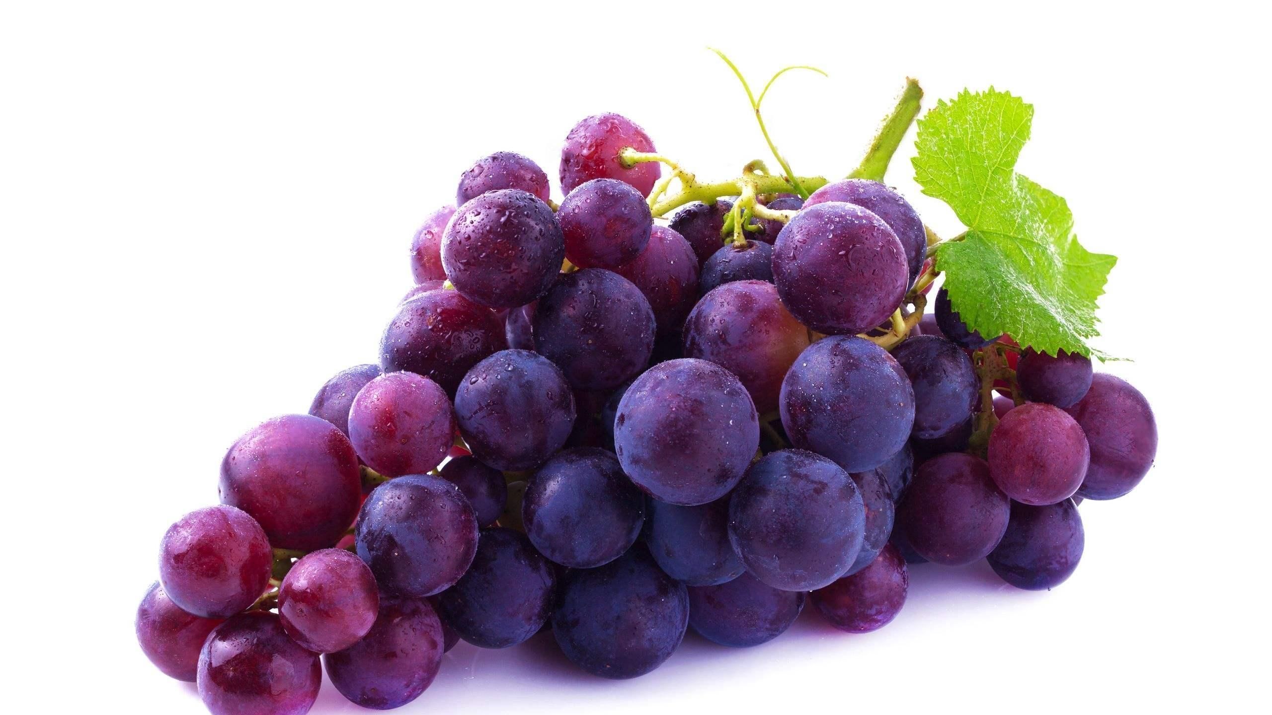 食物|藏在身边的4种养肝食物,经常换着吃,肝脏越来越健康