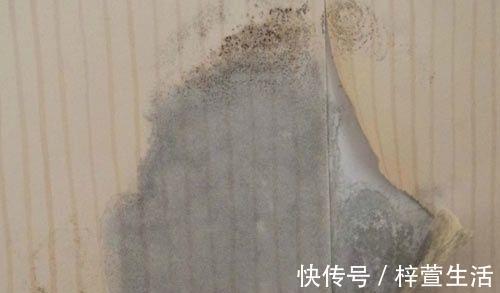 墙面|卫生间装修这个地方最关键!钱花对地方,用50年也不怕渗水!