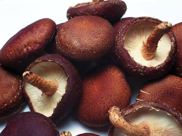 菜贩子|买香菇时，懂行的人看到这5种扭头就走，菜贩子：我自己从来不吃