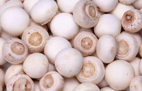 滋补|秋季是滋补的黄金期,常吃三种食材,滋补养颜去燥安稳度秋日