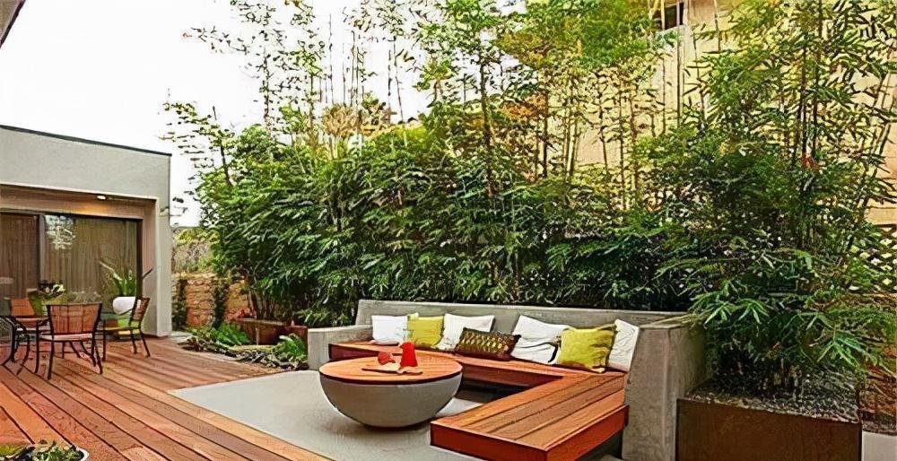 郑板桥#关于竹子的风水学,你知道哪一些,这一点决定了风水的好坏