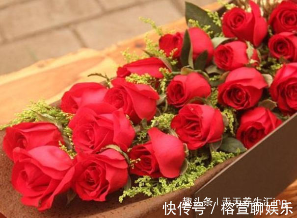 牡丹|喜欢牡丹,不如养盆“玫瑰精品”卡罗拉,花开红艳似火,美艳优雅