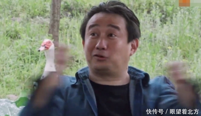 彭彭|杨紫表示爱看《向往》,却喊错小H名字,跟黄磊彭彭聊天却露馅了