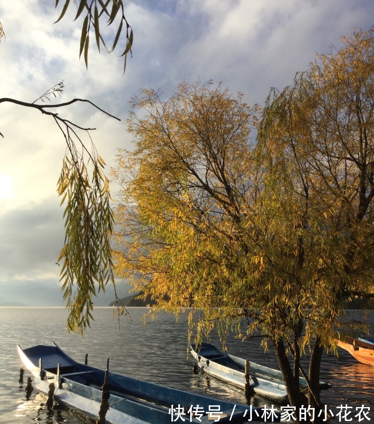 冬天#白居易笔下的冬天,美到极致,暖到极致