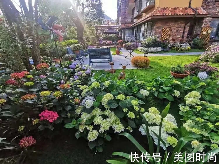 下午茶|一楼430㎡大院子,用1年半建成花园,网友:你这是建了个公园吧?