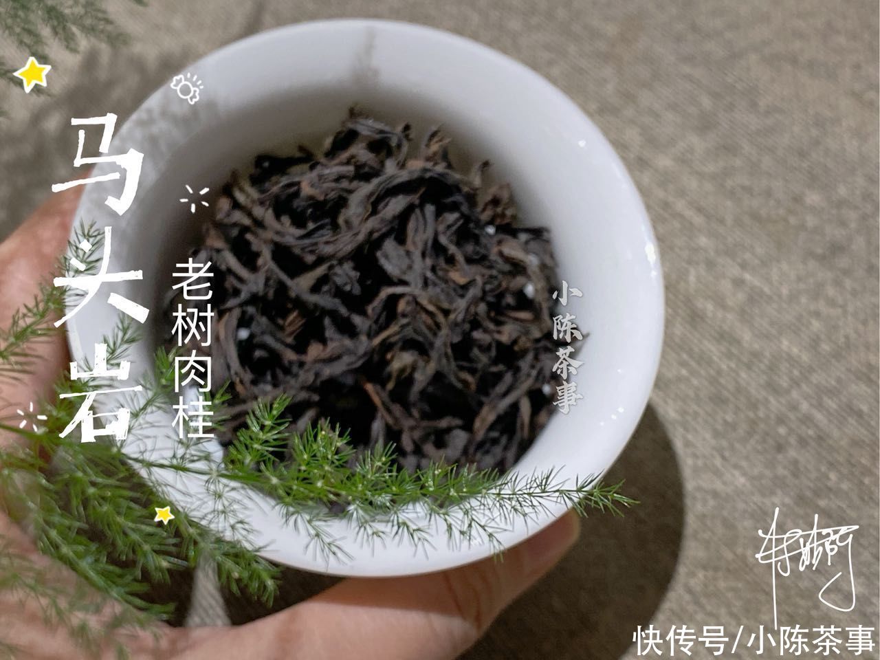 正山小种|条索碎的正山小种，属于红碎茶吗？不，看来你还不懂红茶的分类