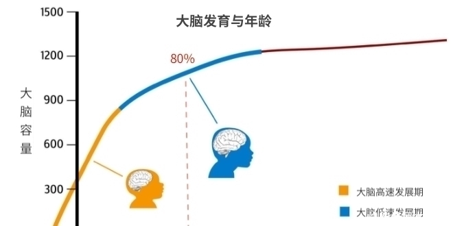 父母|孩子总是学习差,父母错过孩子大脑发育黄金期，却逼孩子加倍努力