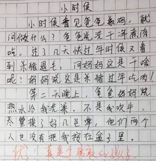 让老师|小学生奇葩搞笑作文，老师倍感无语，家长哭笑不得