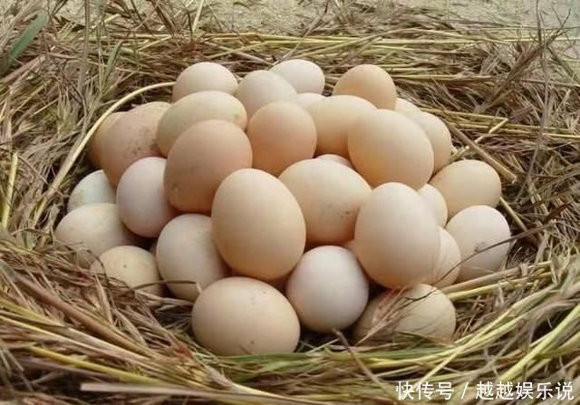 警告,这种鸡蛋不可吃,更不要买,别怪我没提醒你