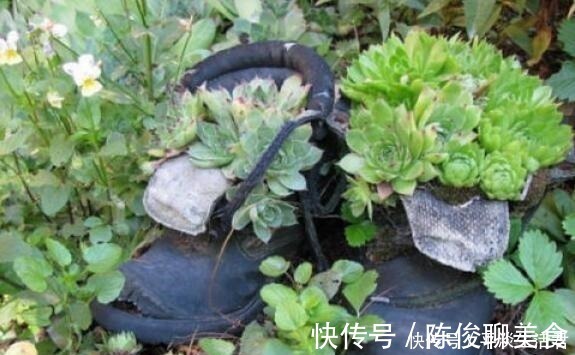 漂亮|这些破烂不要扔,做成“小花盆”,个性又漂亮,比买的强“百倍”!