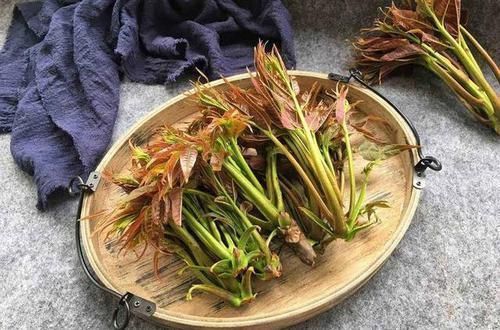 蛏子|女性不想提前衰老,建议吃4种食物,减肥瘦身,气色越来越好