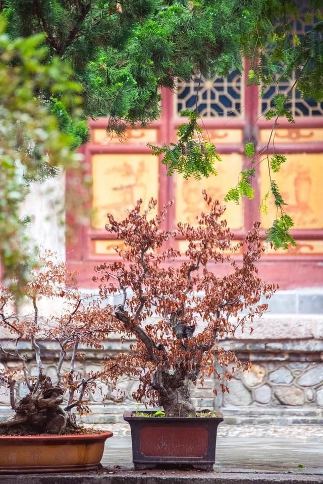 南郭寺|甘肃藏了座千年古寺，被誉为陇右第一名刹，杜甫在此作诗100多首