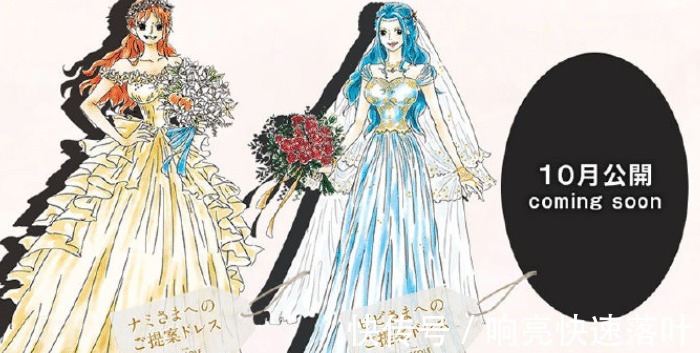 婚纱照|海贼王众女主婚纱照，白星可爱，大和唯美，佩罗娜很“邪恶”