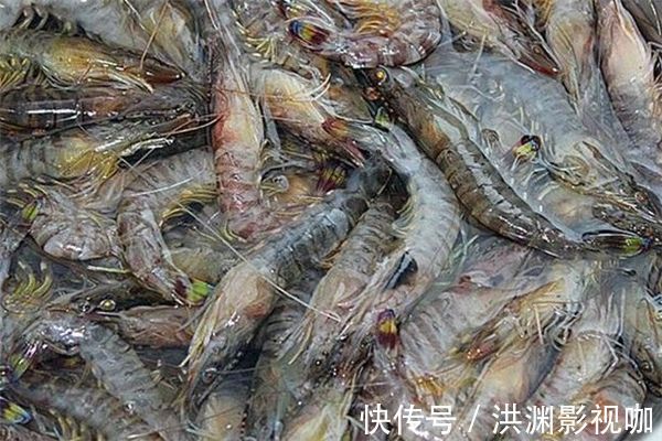 红牛肝菌|女性过了30,多食3种蔬菜,养颜补血,纤体瘦身,多吃身体好