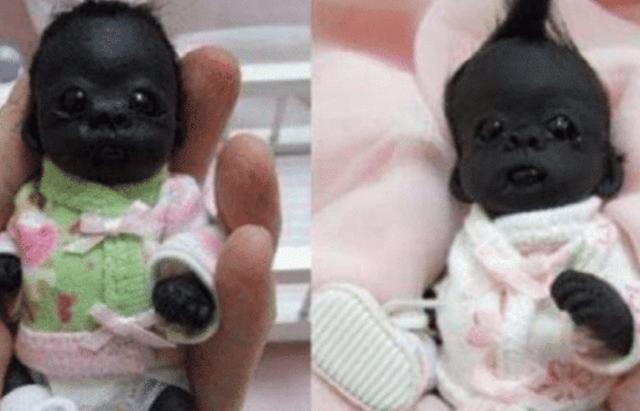 我们的生活|那个一出生黑成“球”的黑宝宝,过去5年了,他变成啥样子了