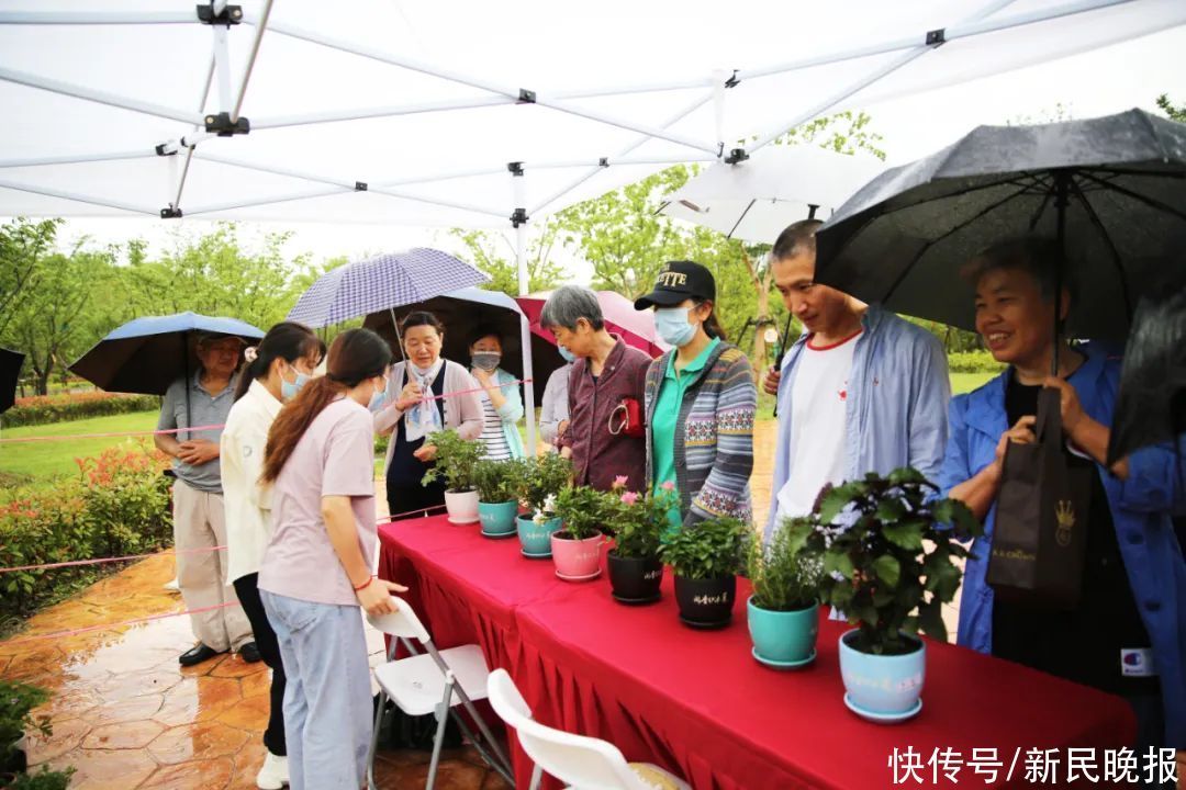 绿地|魔都这片7200平米特色绿地免费开放啦！好白相，还能涨姿势