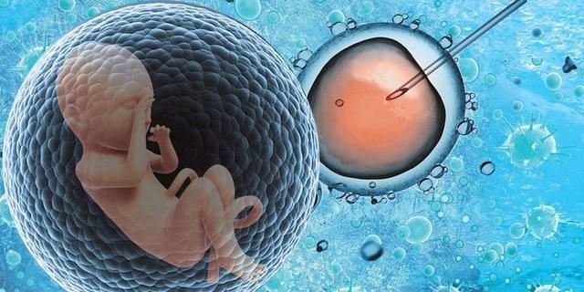 ·布朗|世界第一例试管婴儿,今年已经42岁现状如何