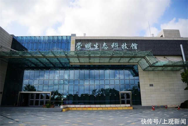 湿地|看，崇明来了只“小花狮”