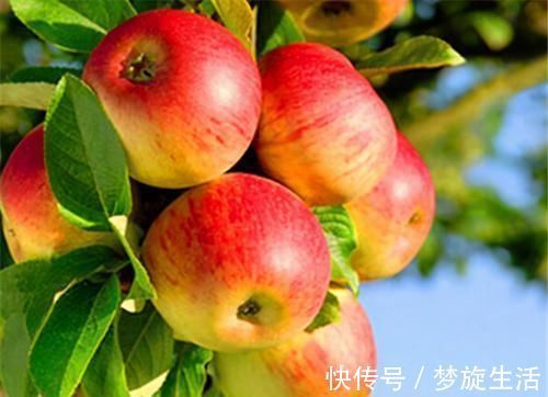 苜蓿菜|女性到了中年,推荐多吃3种食物,排毒养颜、滋润肌肤