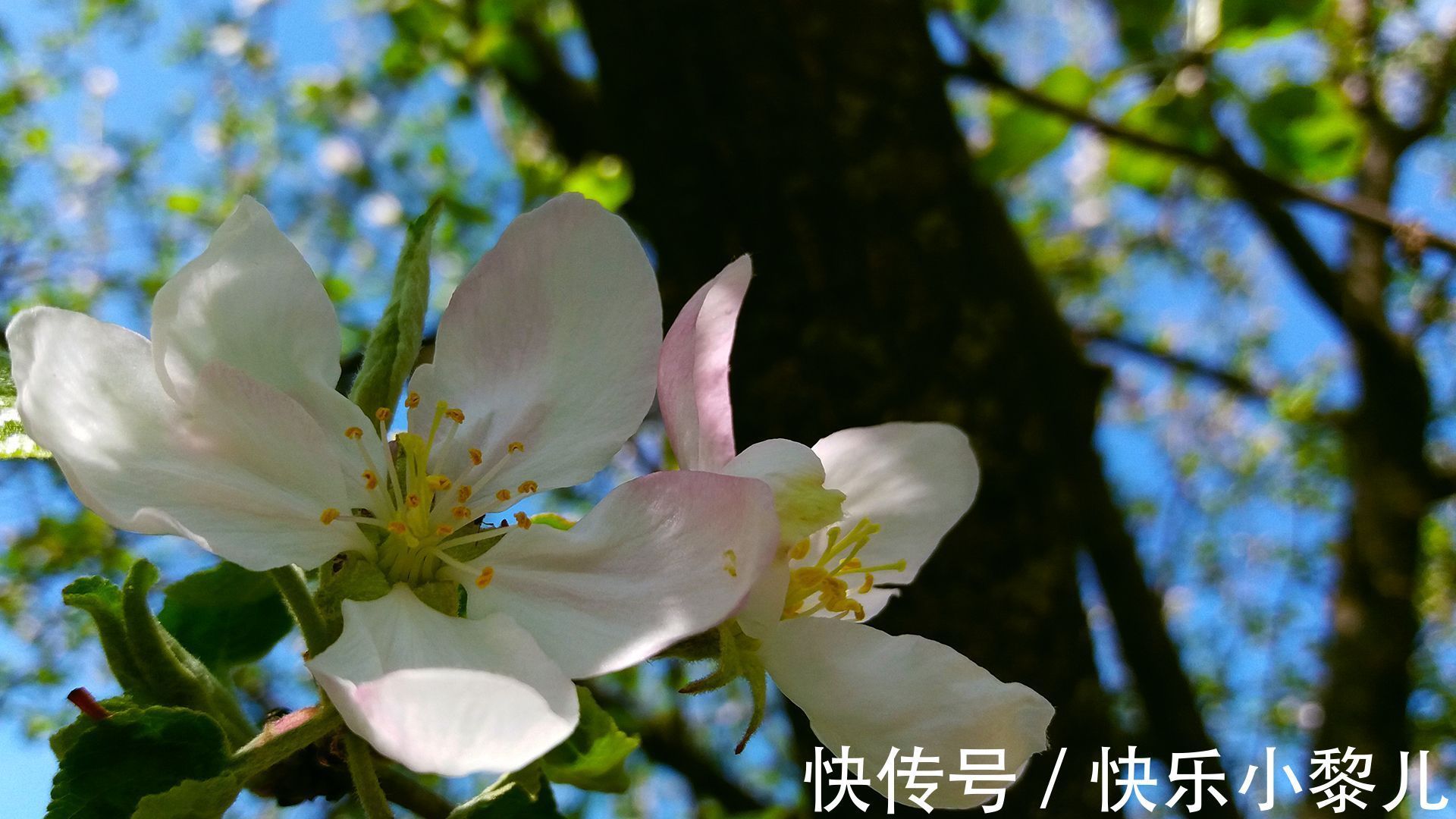 因为爱情|天蝎座与爱人吵架，但不会分开，你是狂风暴雨，他们就打着伞爱你