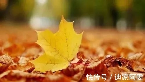 第一场雪&周绍明:辞别(外二首)