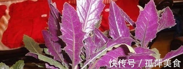 食用量|农村一种野菜，古人称为“补血菜”，食用超千年，现在被认为有毒