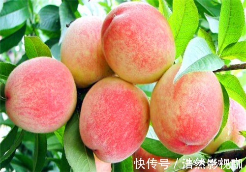 早衰|女性担心自己老太快,要坚持吃4种食物,清理毒素、预防子宫早衰