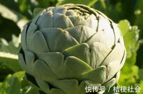 长寿|想长寿要先会吃,三种食物不错过,降压减脂,有益健康!