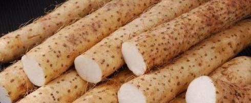 医生公认的养生食材,抗肿瘤,美白皮肤,你今天吃过了吗?