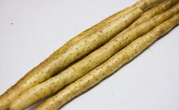 补气|黄芪搭配什么喝不上火?4种药材换着搭,补气健脾,气血更通畅